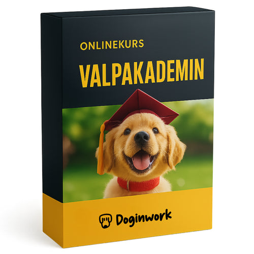 Valpakademin